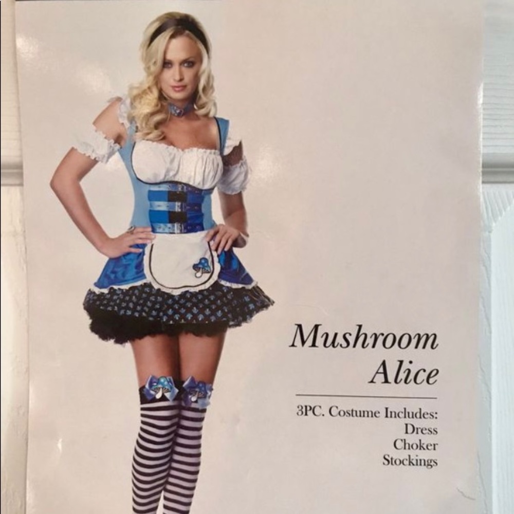 COPY - Adult Alice In Wonderland Costume S/M